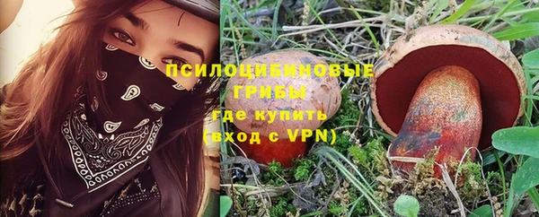 сатива Алзамай