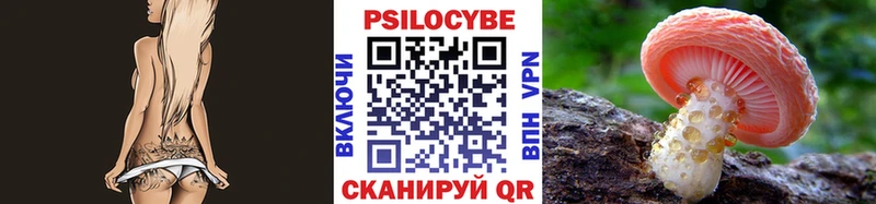 купить наркотик  Удомля  Галлюциногенные грибы Psilocybine cubensis 